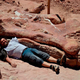Illustration for article titled Paleontologists lying near giant dinosaur bones